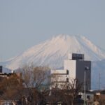 令和8年 新年のご挨拶