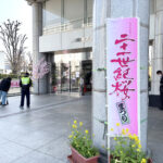 二十一世紀桜まつりに参加しました
